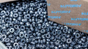 mds autoriv clinch blind rivet fasteners for automatic feeding processing